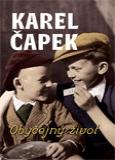 obálka Obyčejný život